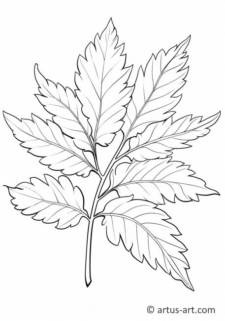 Página para colorir de folha de castanheiro